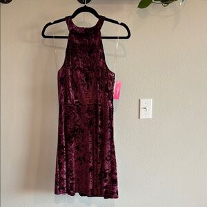 Xhilaration Velvet Mini Dress in Burgundy